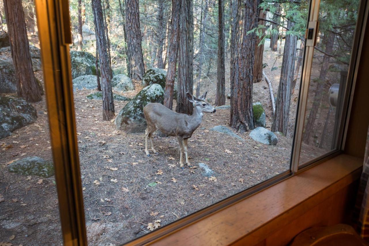 | 4 Pine Creek Cabin