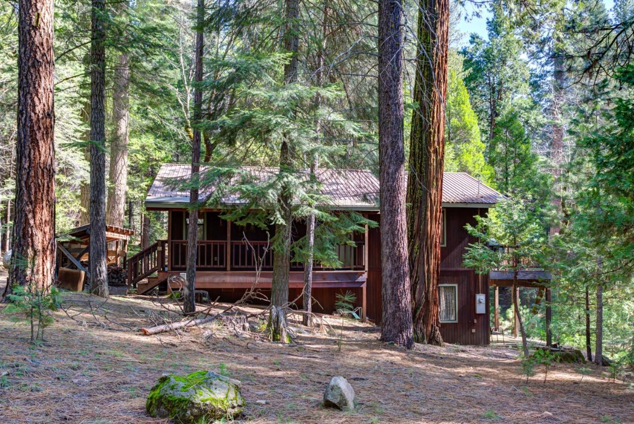 | 1S Cecils Cabin