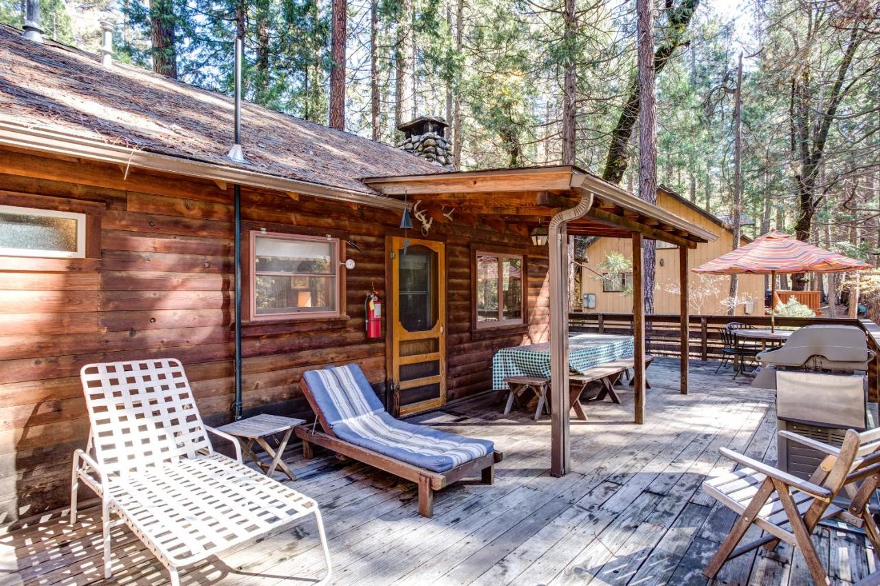 | 53 Creekside Cabin