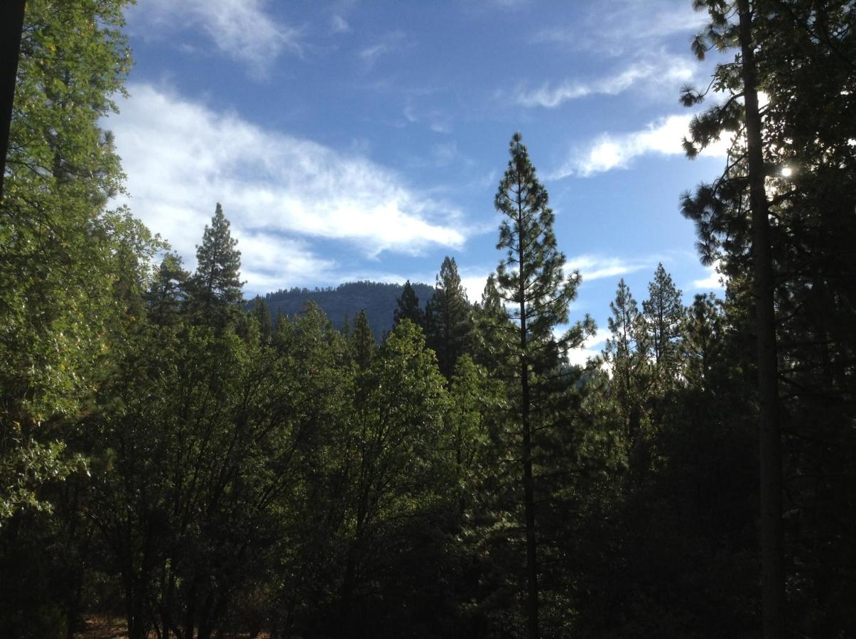 | 44R Grant's Camp