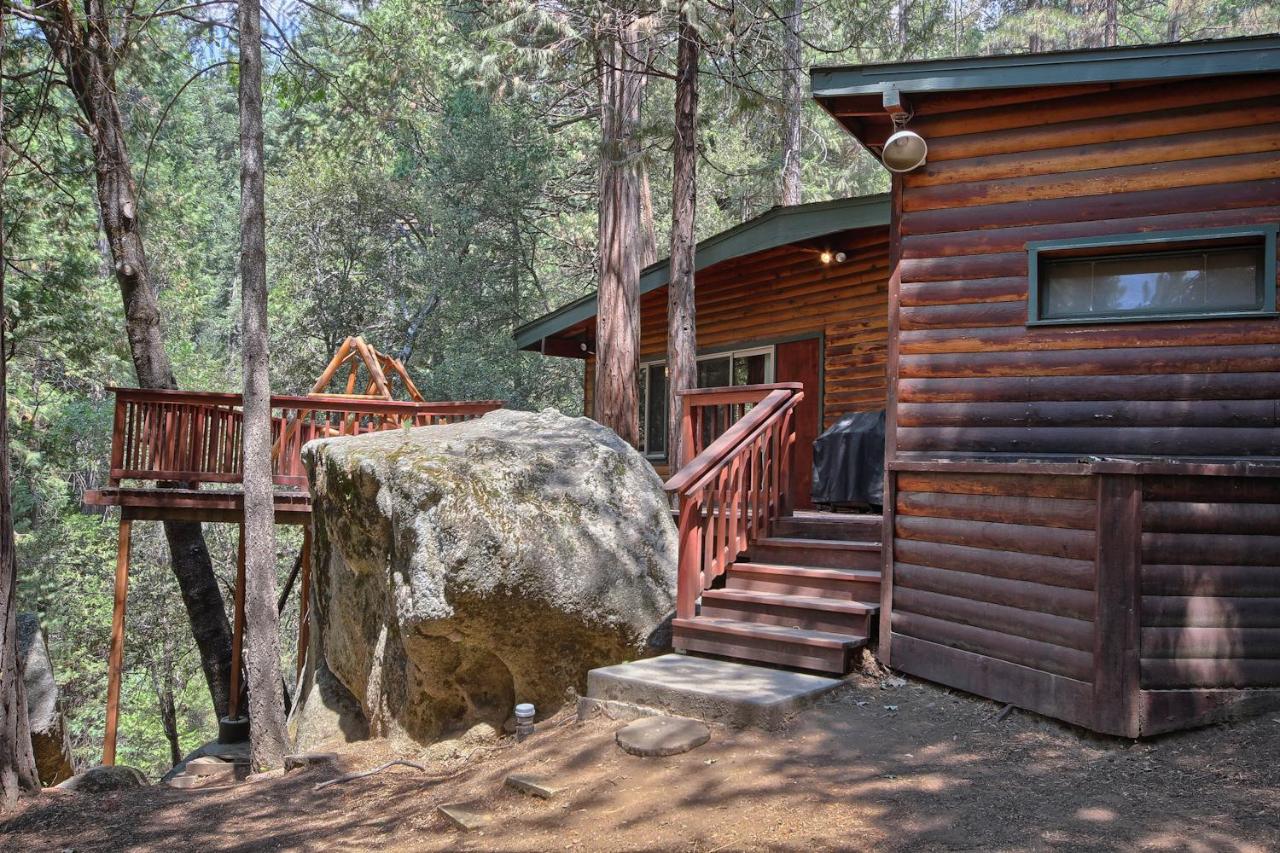 | 1L The Tree House