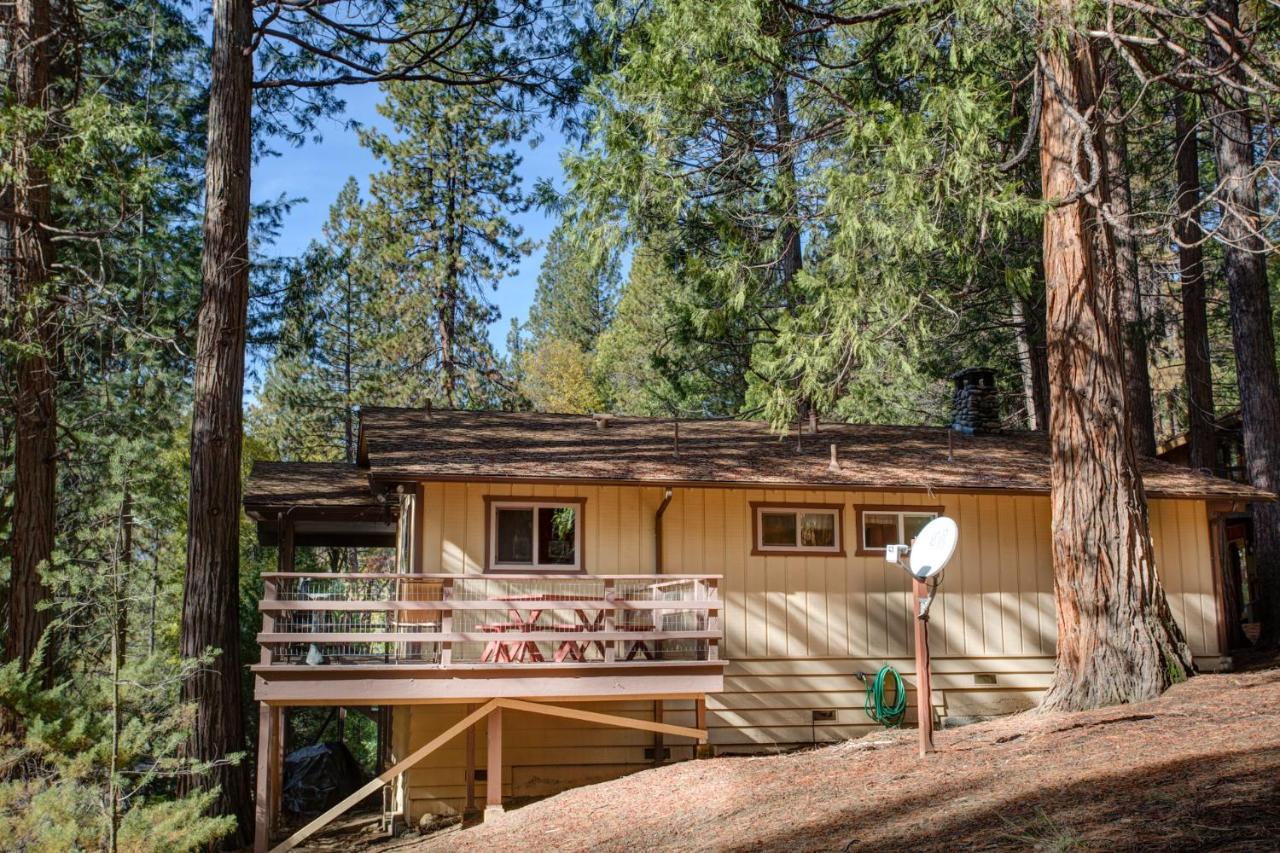  | 11B Sequoia House