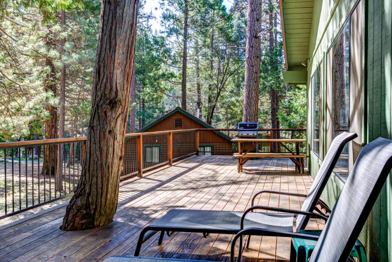 | 40 Coyles Cabin