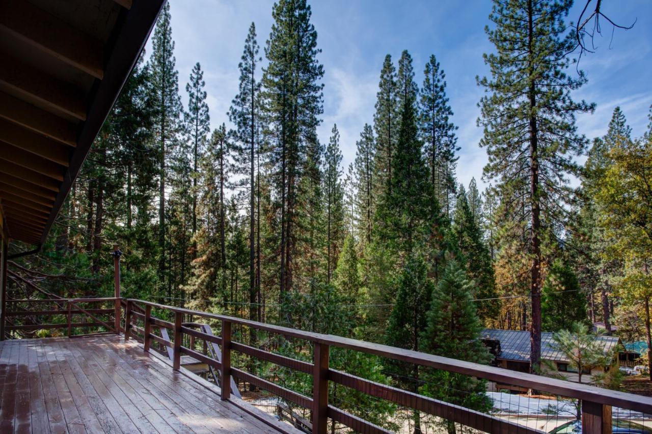 | 11B Sequoia House
