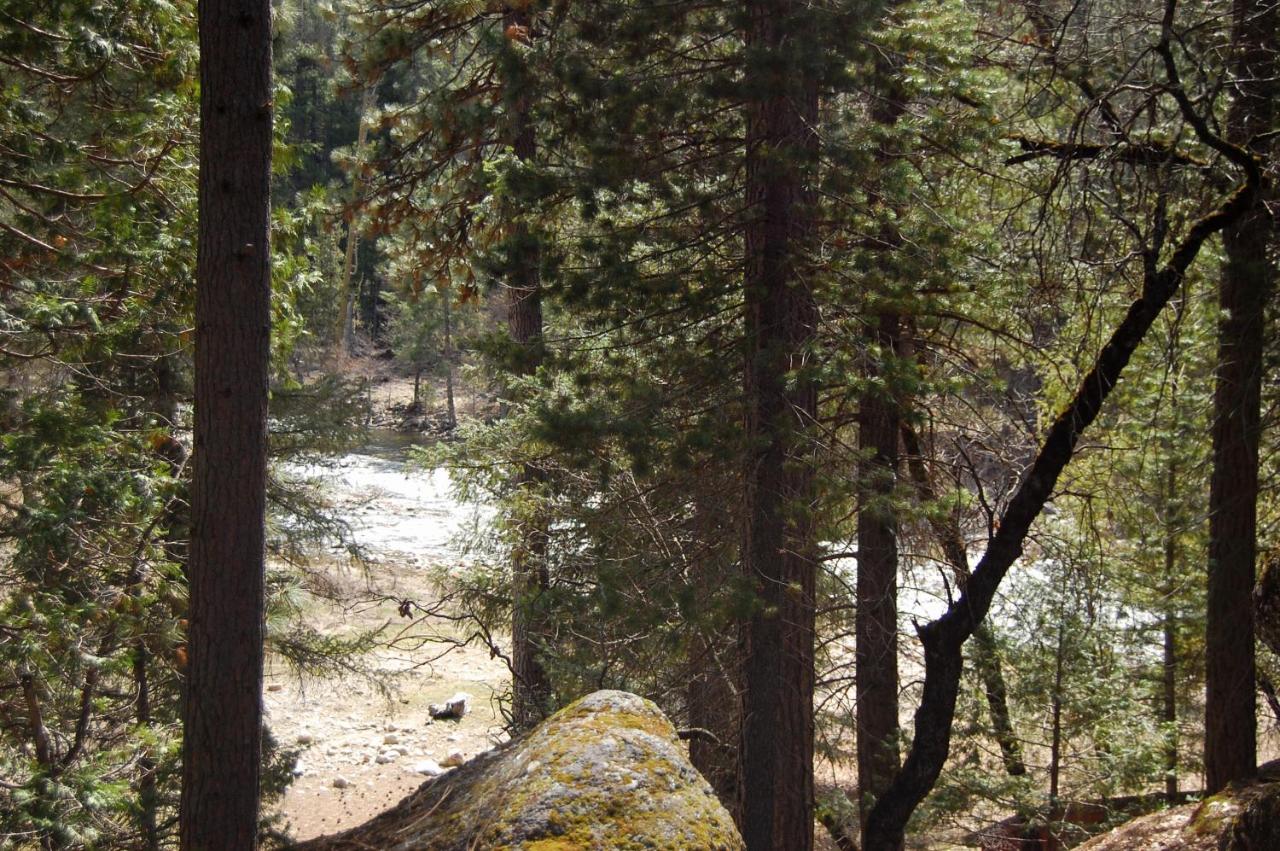 | 10N Black Oak Lodge