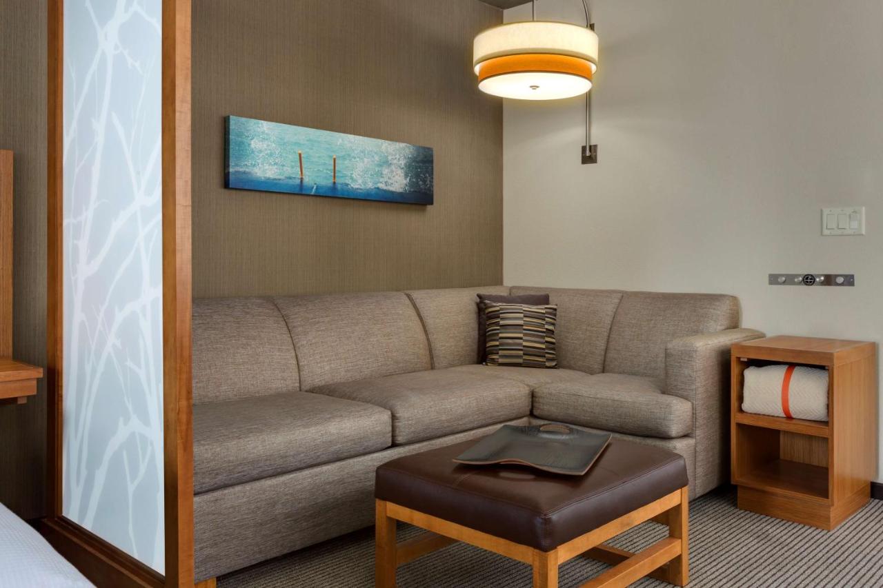 Specialty Accessible King/ Roll-In Shower with Sofa Bed at Hyatt Place Chicago/Downtown - The Loop