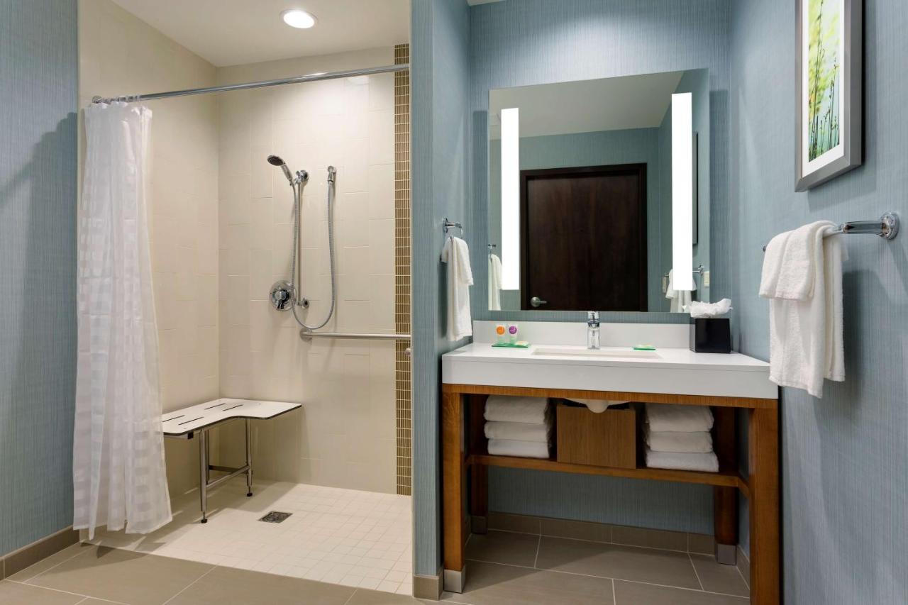 Specialty Accessible King/ Roll-In Shower with Sofa Bed at Hyatt Place Chicago/Downtown - The Loop