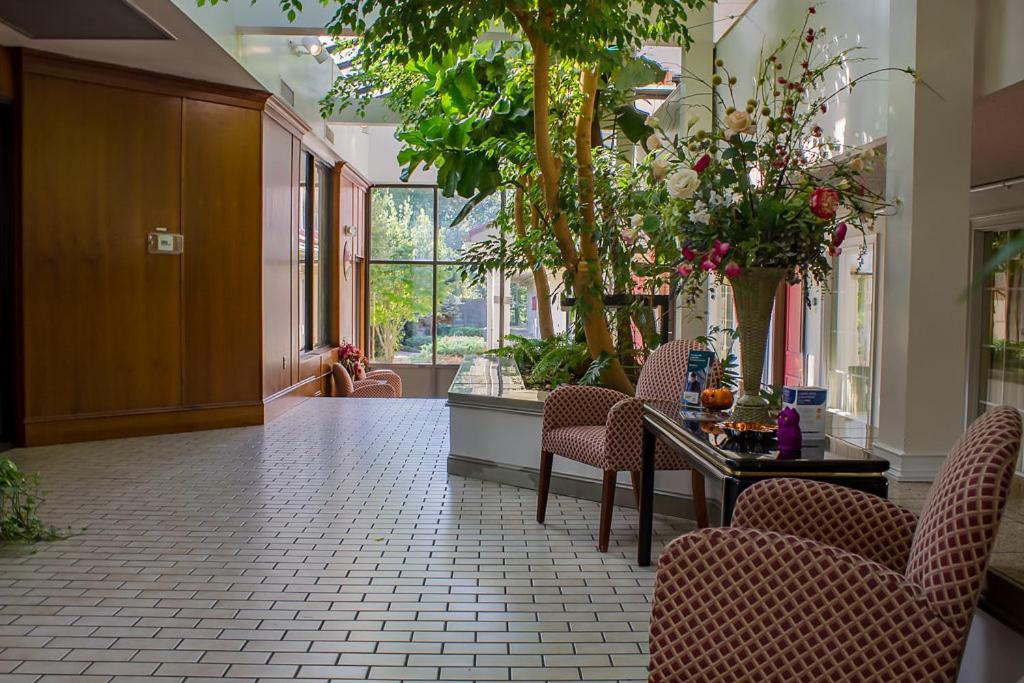 King Room - Smoking at Greeneville Inn and Suites