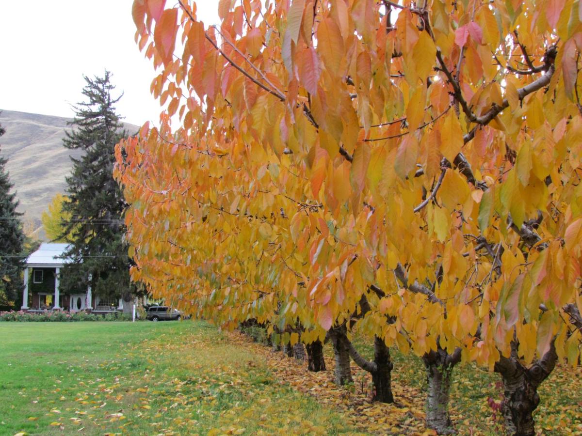 | Warm Springs Inn & Winery
