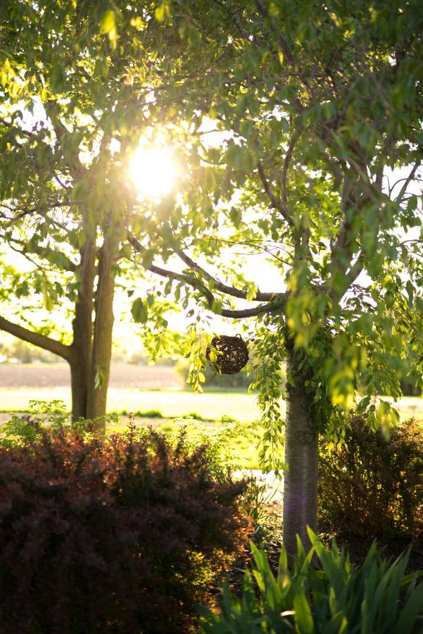 | Yale Manor B&B & Yurt Glamping