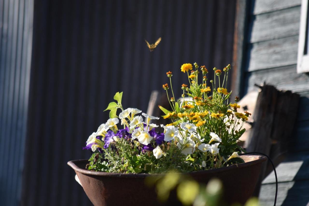 | Warm Springs Inn & Winery