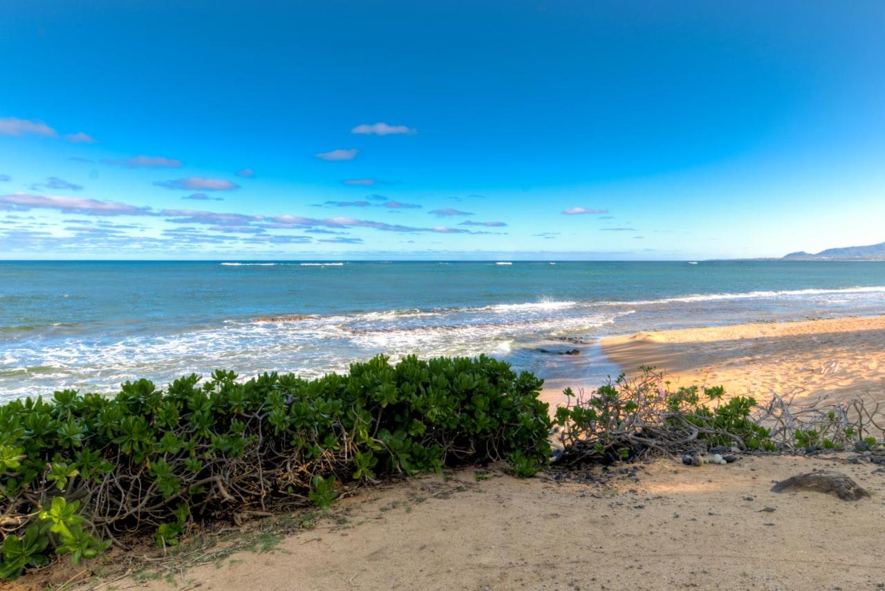 | The ISO. Island. Sky. Ocean.