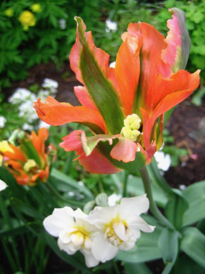 | Gardenside Bed and Breakfast