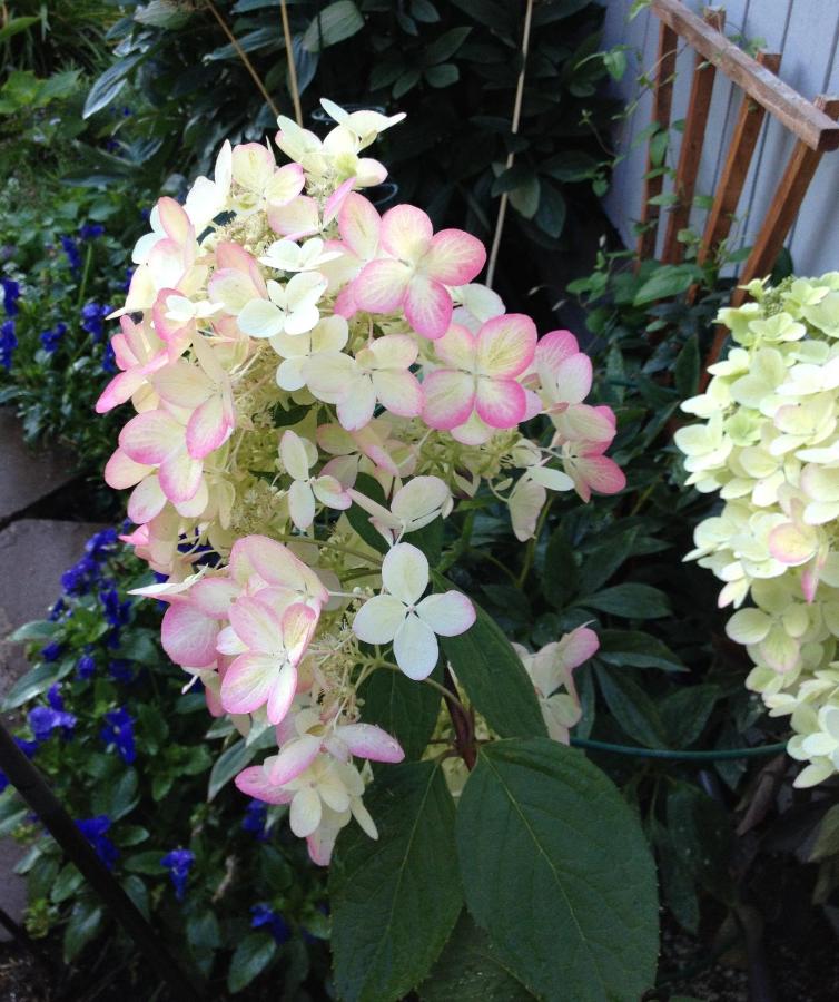 | Gardenside Bed and Breakfast