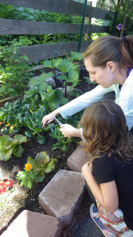 | Gardenside Bed and Breakfast