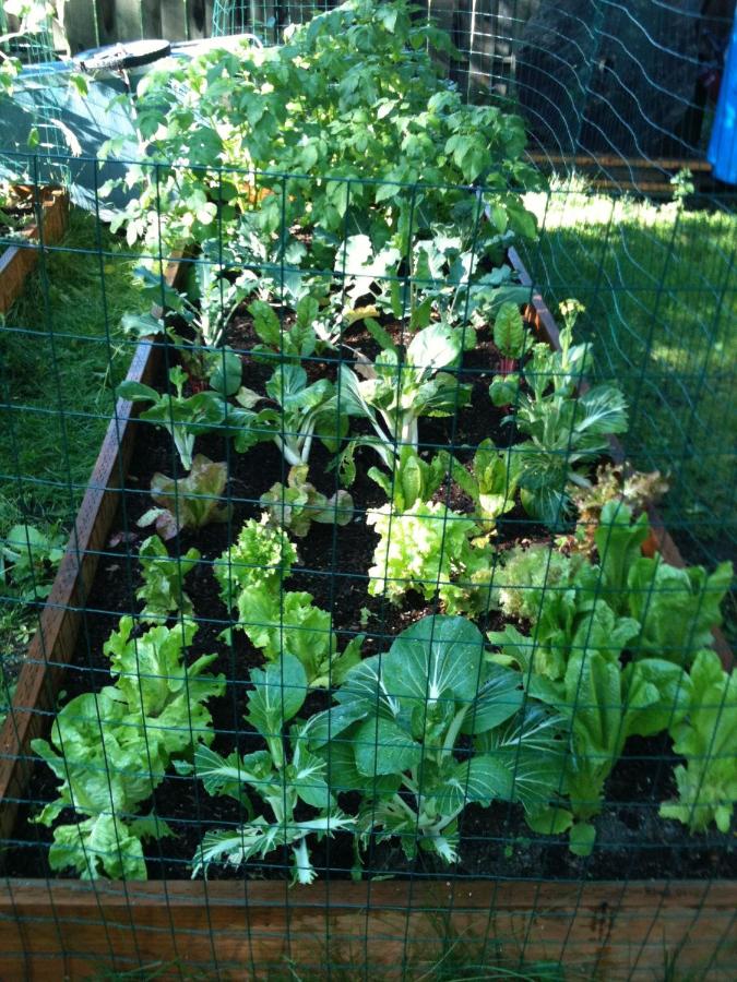 | Gardenside Bed and Breakfast