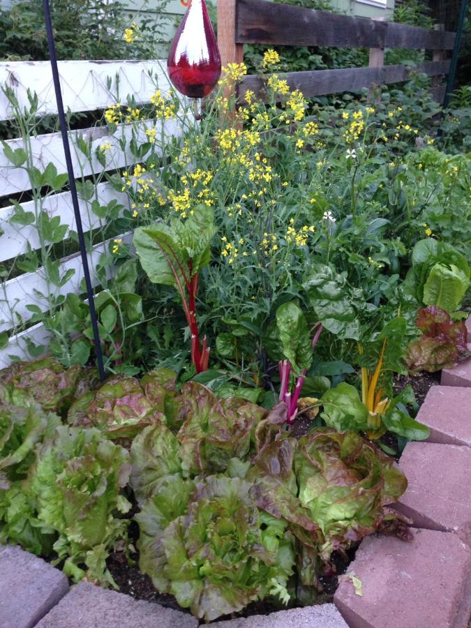 | Gardenside Bed and Breakfast