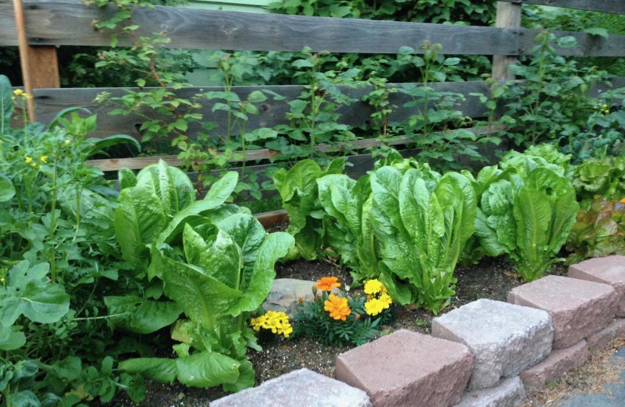 | Gardenside Bed and Breakfast