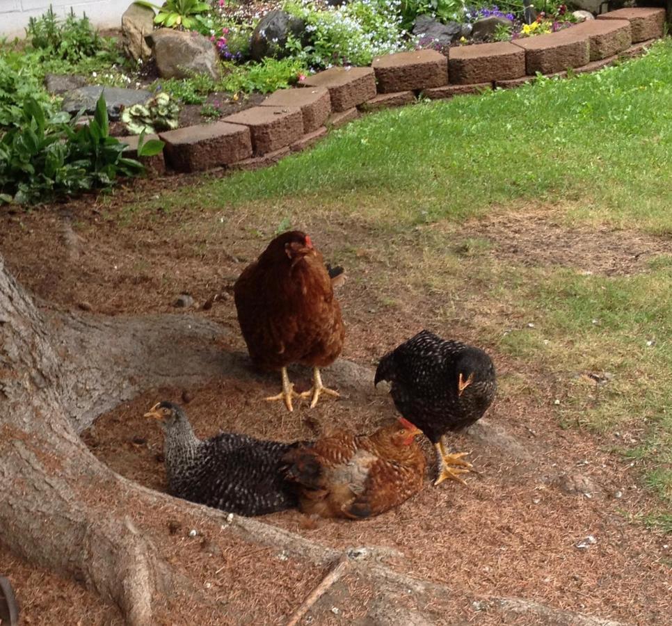 | Gardenside Bed and Breakfast