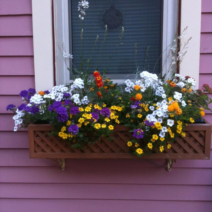 | Rose & Thistle Bed & Breakfast