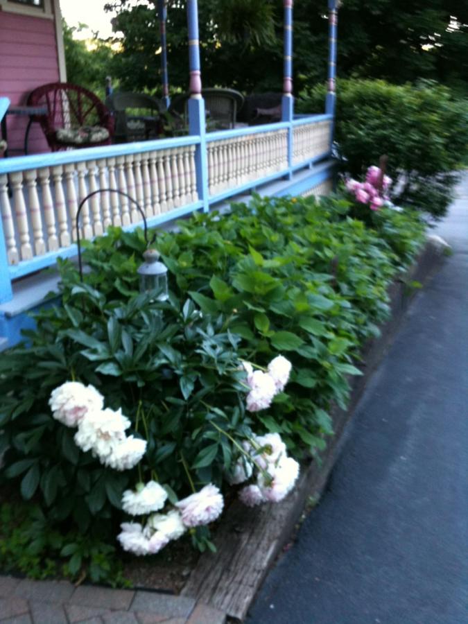 | Rose & Thistle Bed & Breakfast