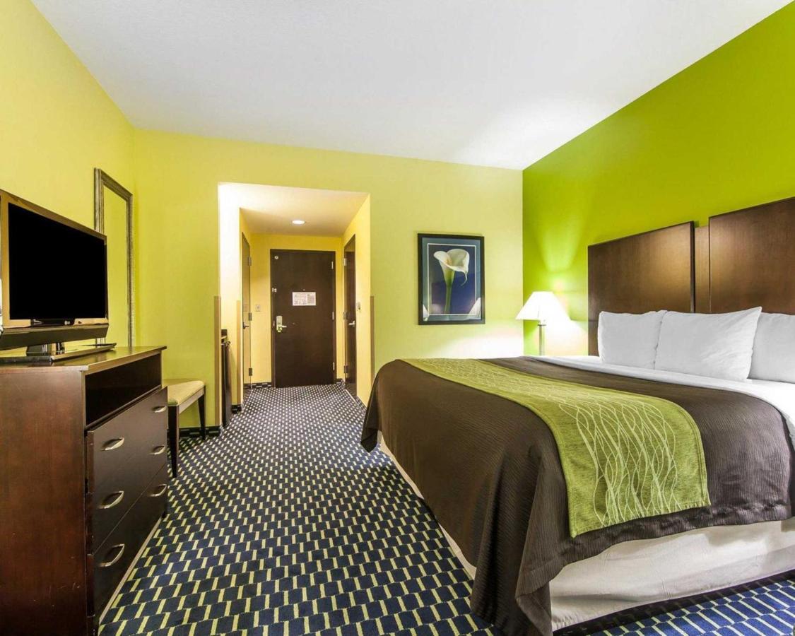 King Room - Disability Access/Non-Smoking at Comfort Inn Athens