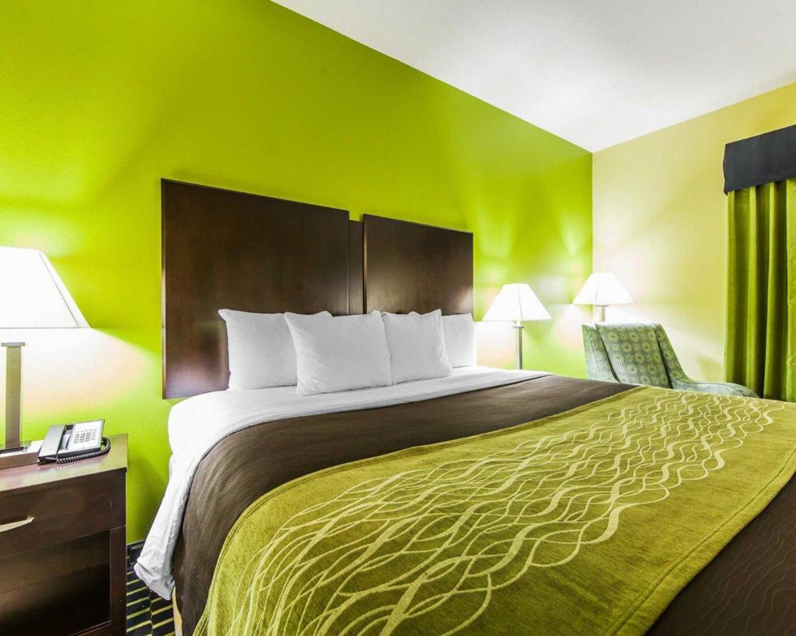 King Room - Disability Access/Non-Smoking at Comfort Inn Athens