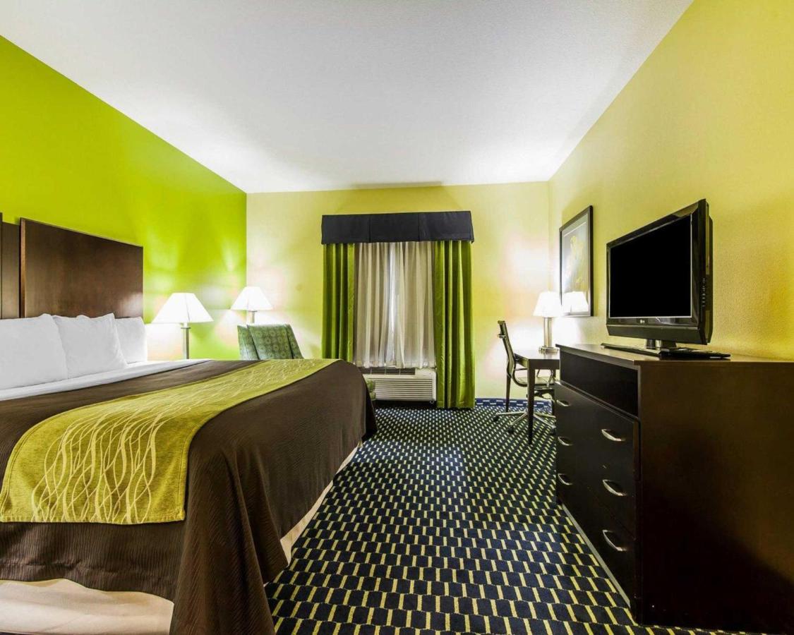 King Room - Disability Access/Non-Smoking at Comfort Inn Athens