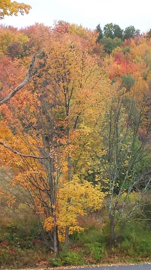 | Margaretville Mountain Inn B&B