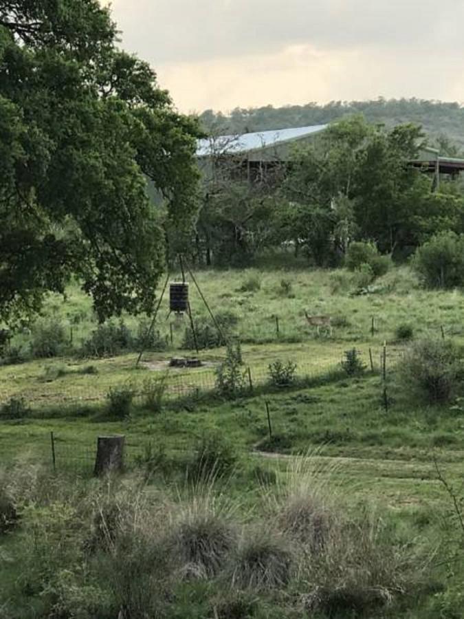 | City on a Hill at Spring Creek