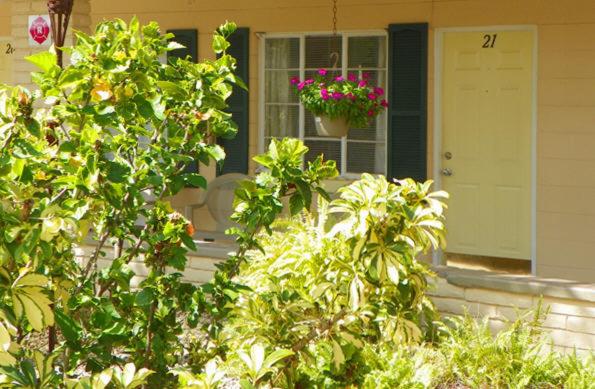 | Island Breeze Inn - Venice