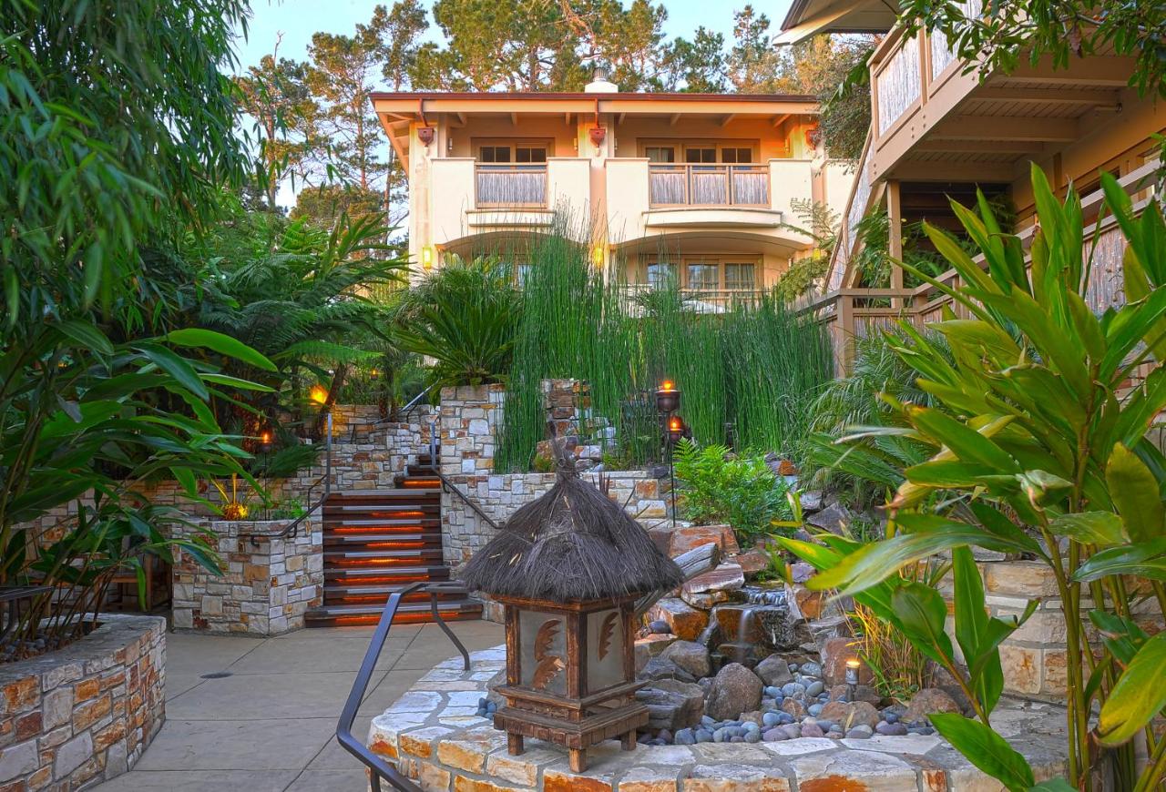 | Tradewinds Carmel