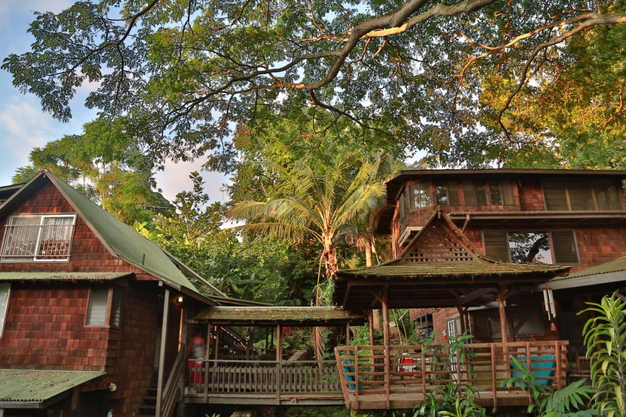 | Hale Maluhia Country Inn