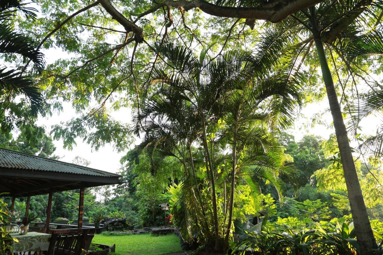 | Hale Maluhia Country Inn
