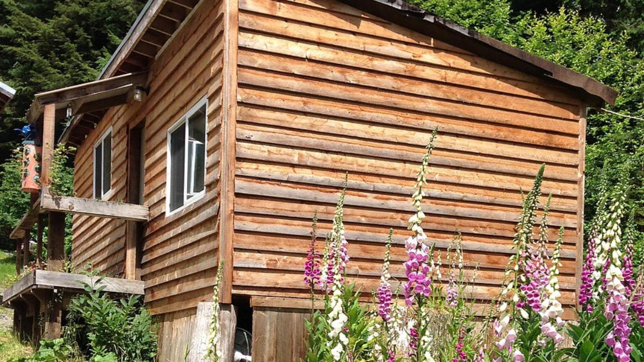 | Hollis Creek Cabin
