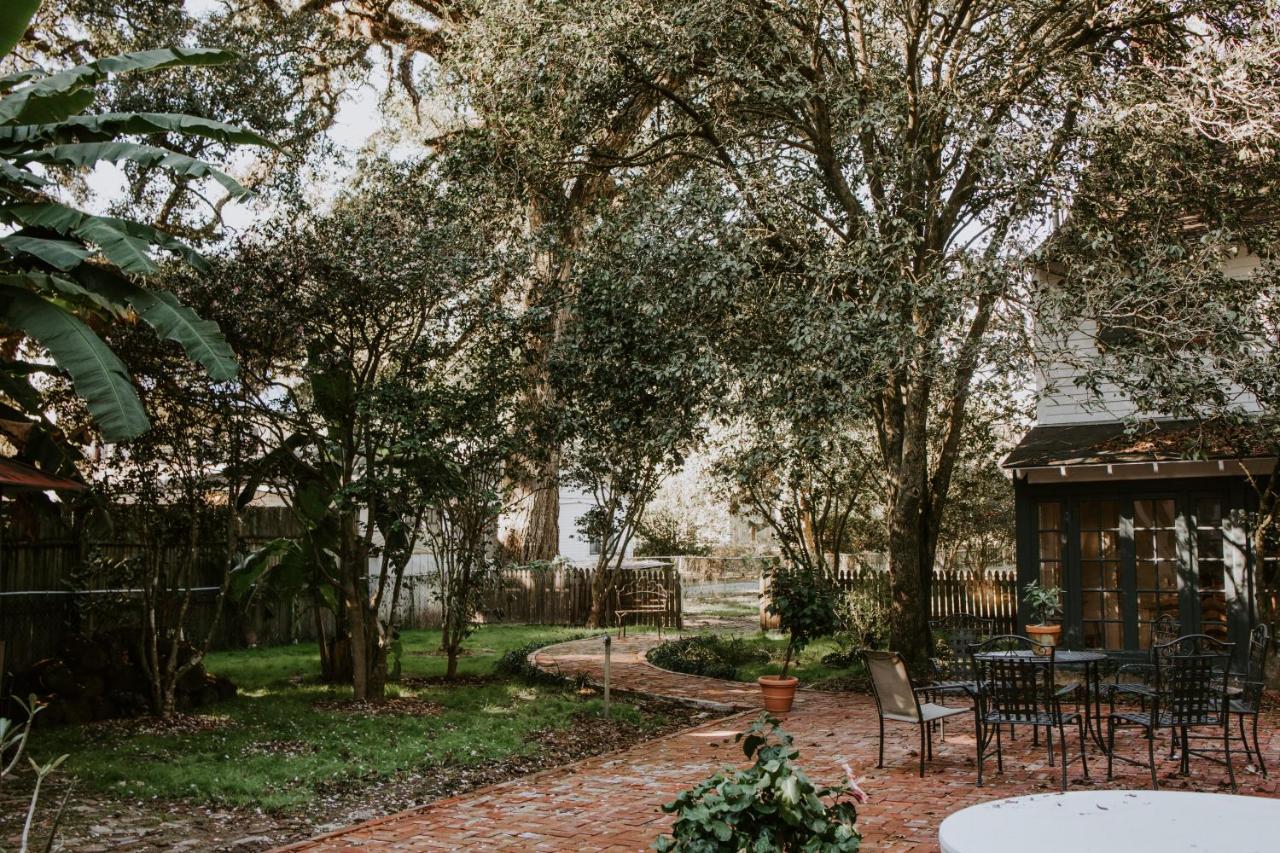 | Maison Mouton Bed & Breakfast