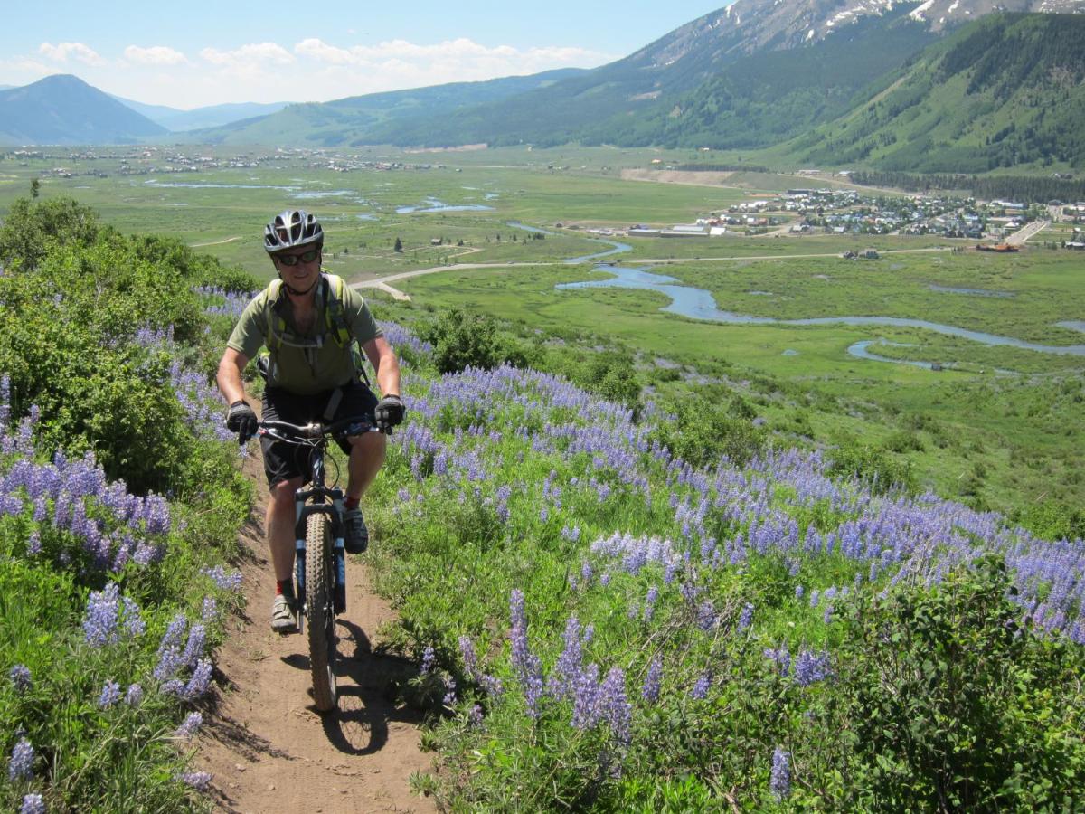 | Purple Mountain Bed & Breakfast & Spa