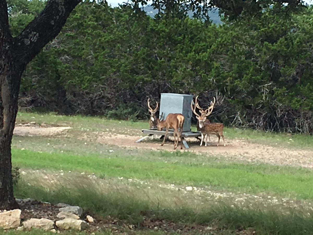 | Glory Hills Ranch