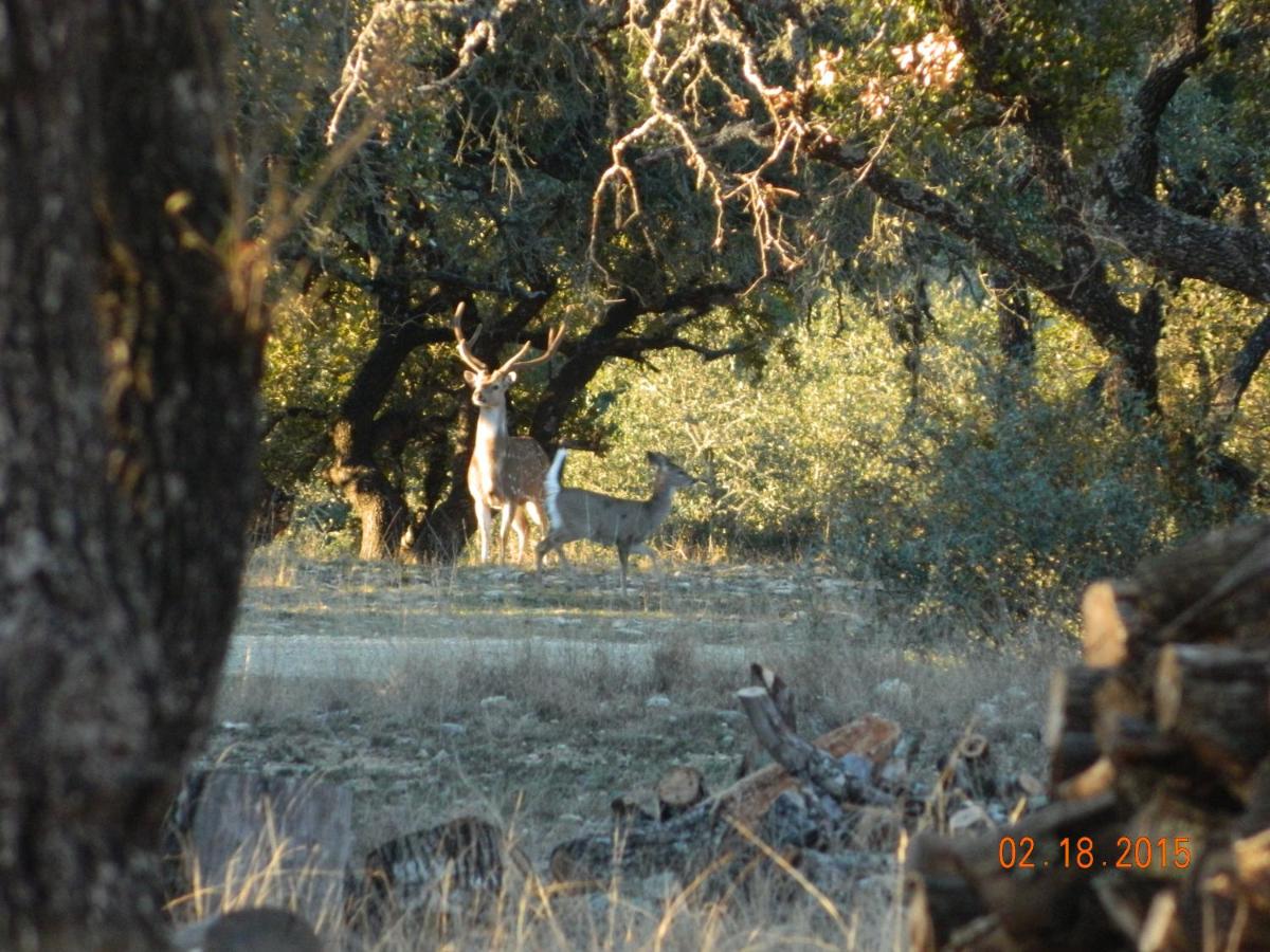 | Glory Hills Ranch