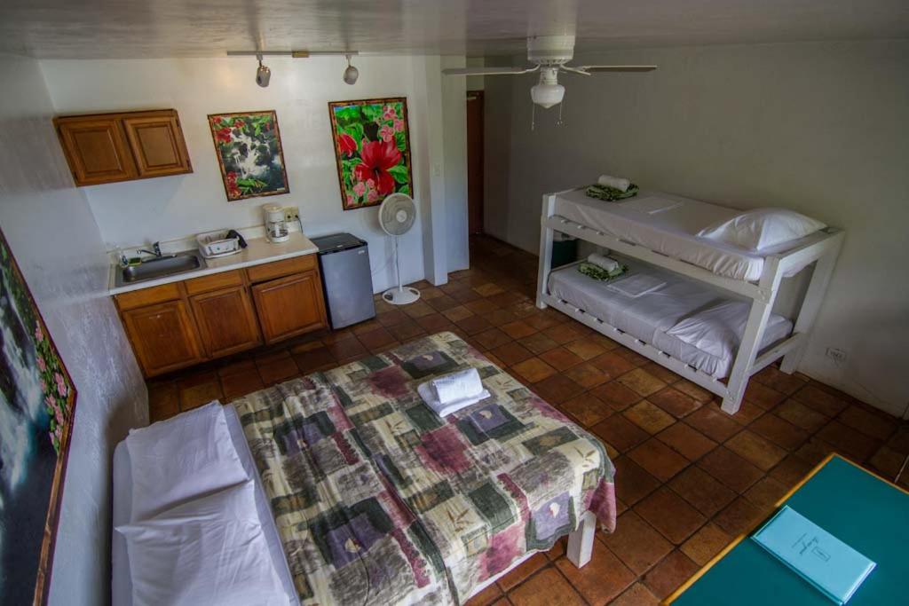 | Backpackers Vacation Inn and Plantation Village