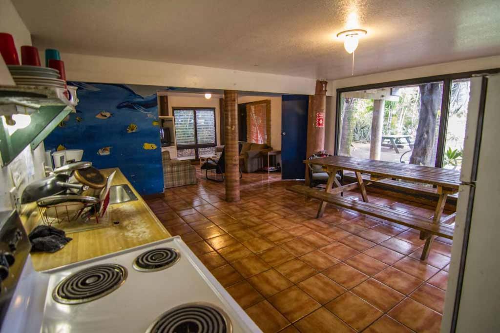 | Backpackers Vacation Inn and Plantation Village