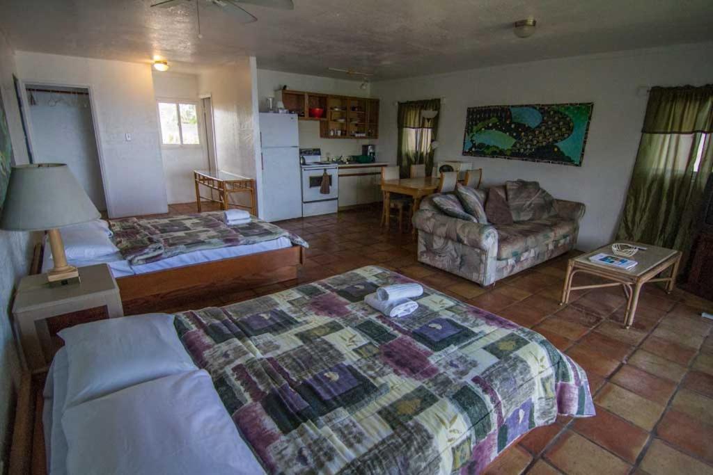 | Backpackers Vacation Inn and Plantation Village