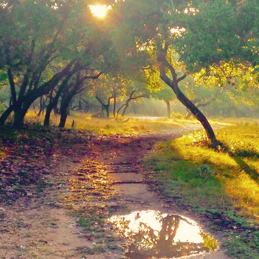 | Glory Hills Ranch