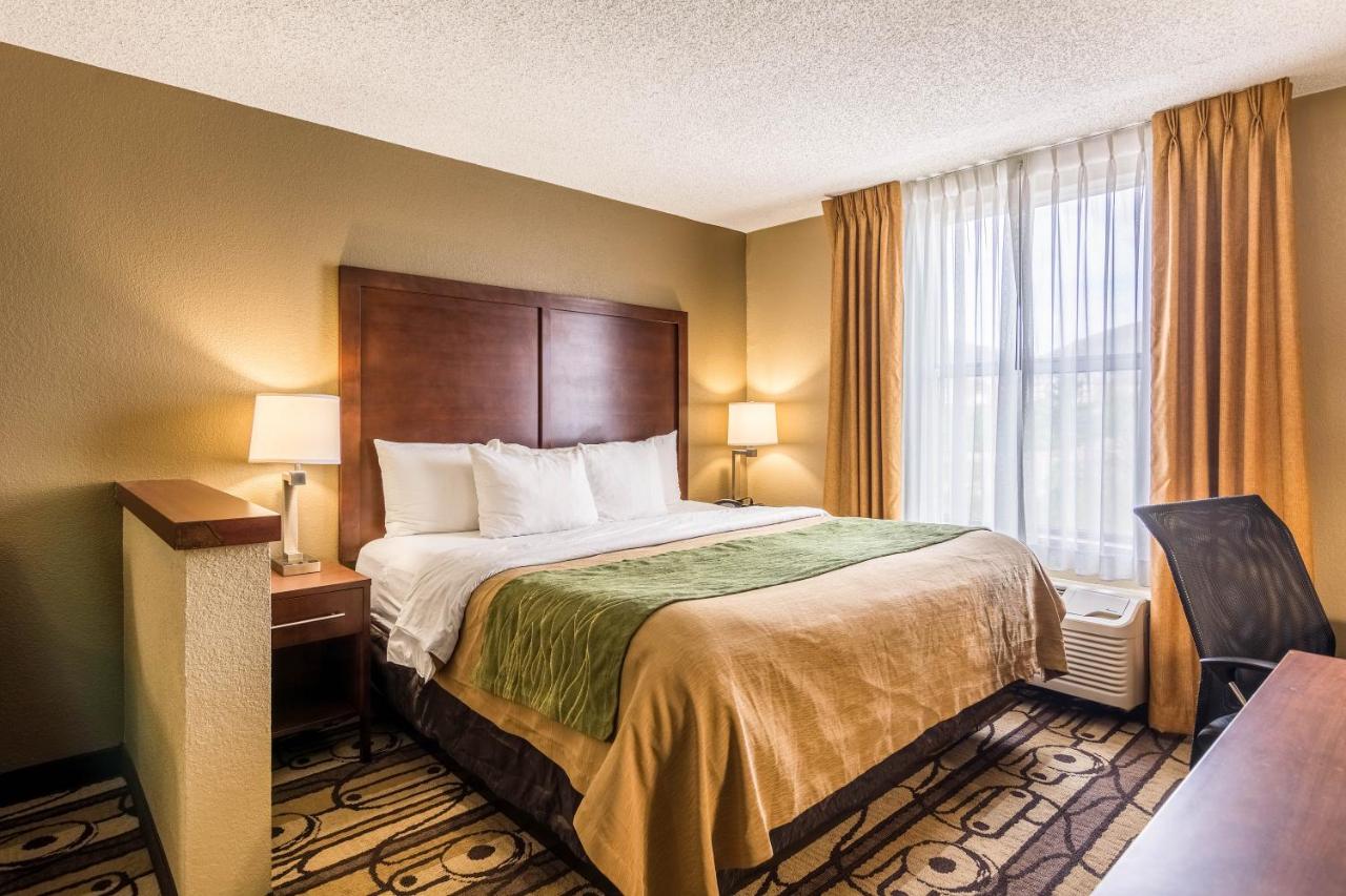 King Room - Non-Smoking at Comfort Inn & Suites Staunton
