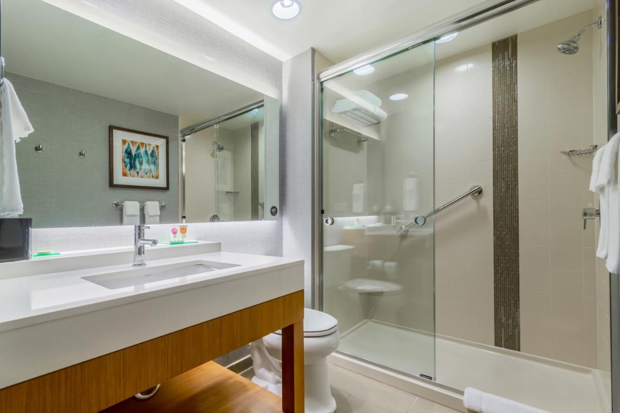 Deluxe King Room at Hyatt Place Blacksburg / University