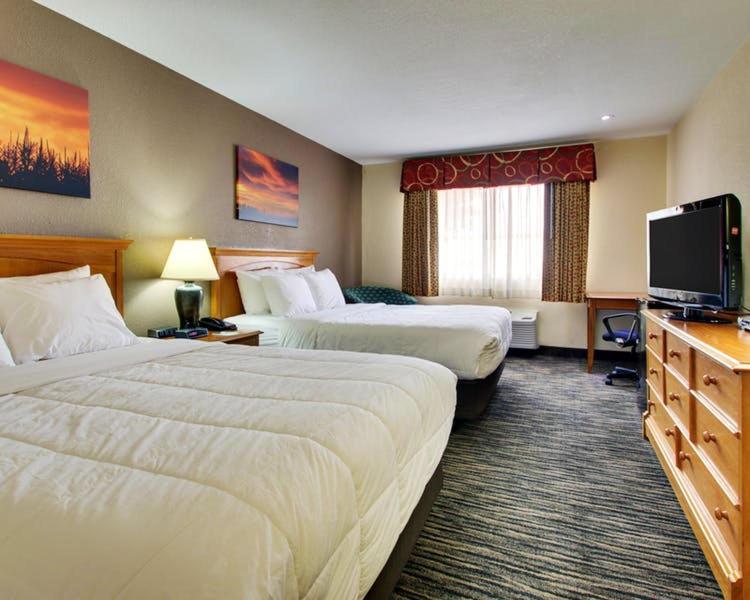 Double Room at EverSpring Inn & Suites