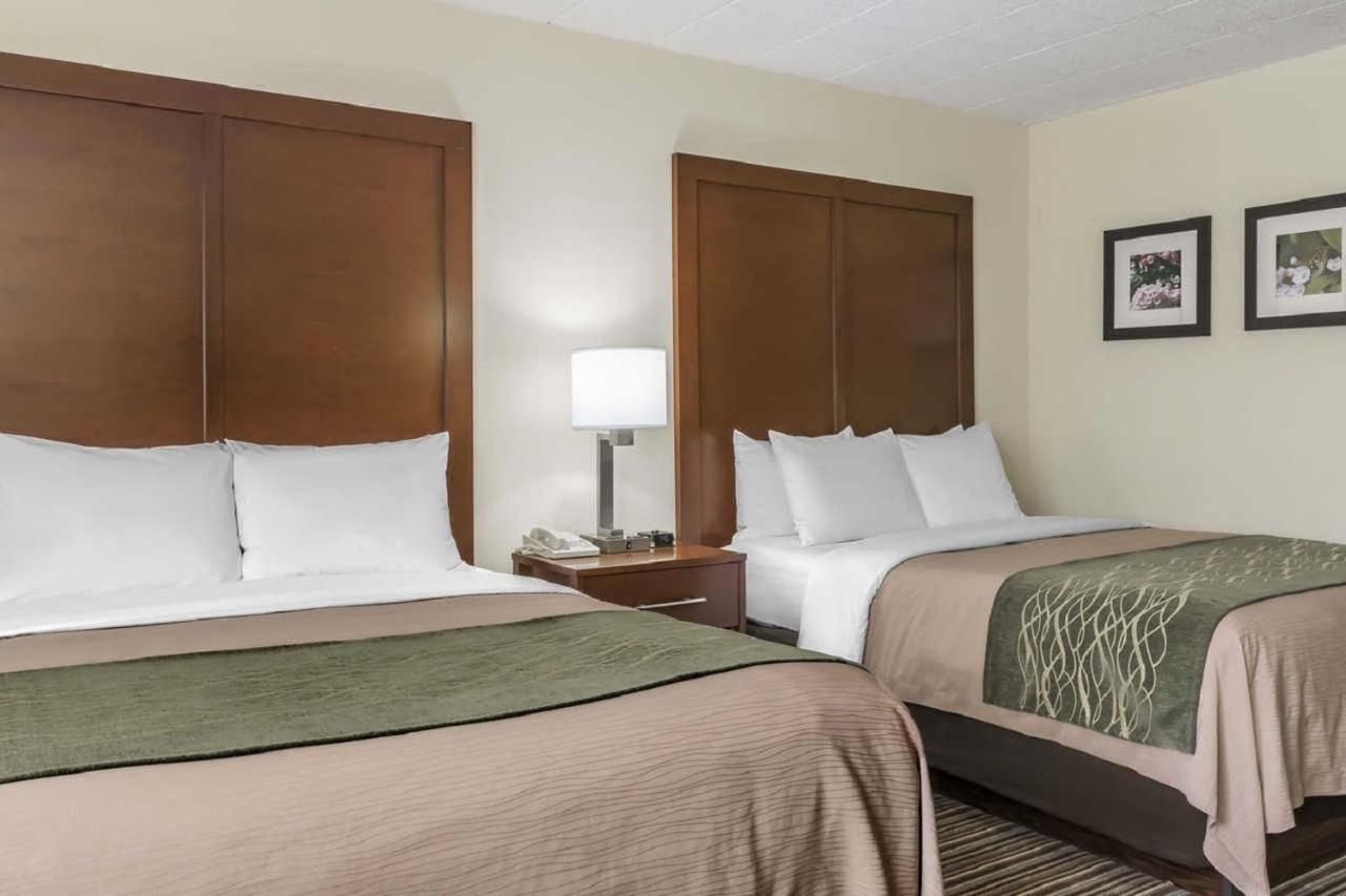 Queen Room with Two Queen Beds - Disability Access/Non-Smoking at Comfort Inn - Pocono Mountains
