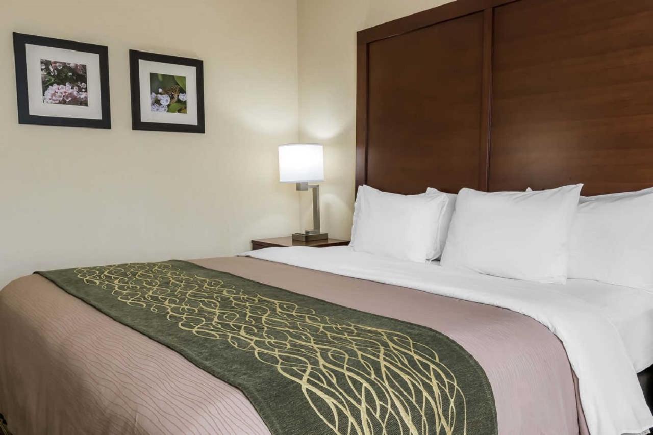 King Room - Non-Smoking at Comfort Inn - Pocono Mountains