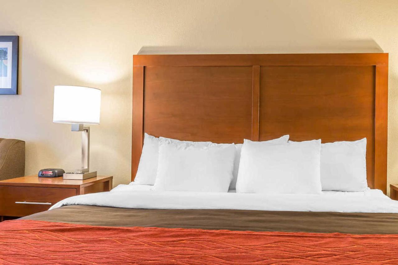 Queen Room - Non-Smoking at Comfort Inn Frederick - Ballenger Creek