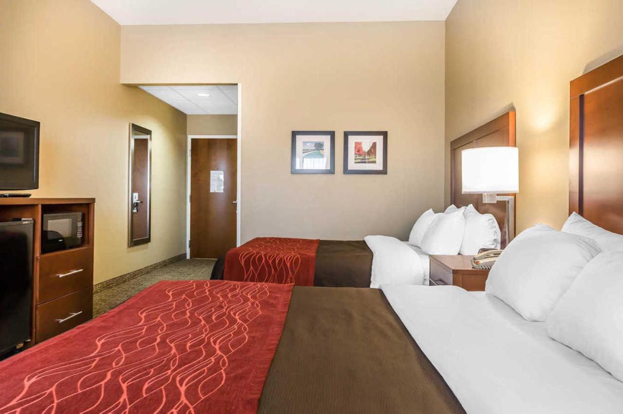 Queen Room with Two Queen Beds - Non-Smoking at Comfort Inn Frederick - Ballenger Creek